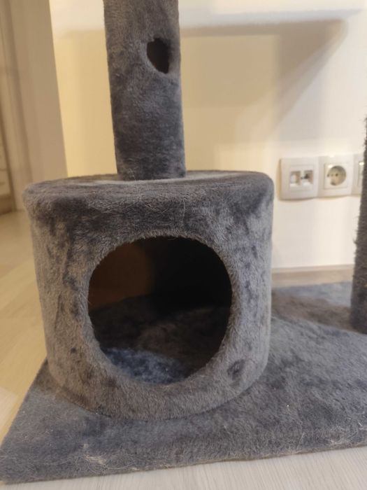 Котешка катерушка