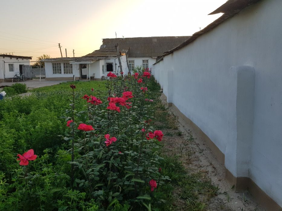 Кролики на продажу