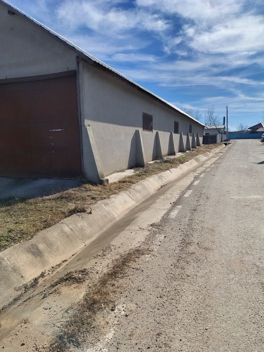 Loc de casa 2364mp comuna Brăhășești