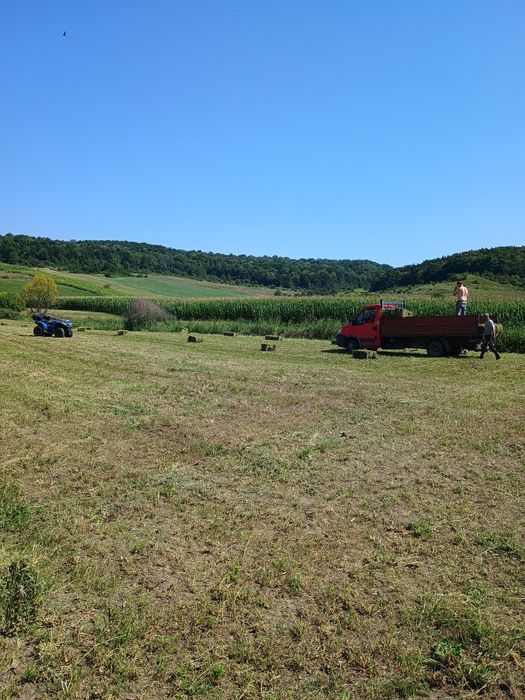 Baloți dreptunghiulari rotunzi