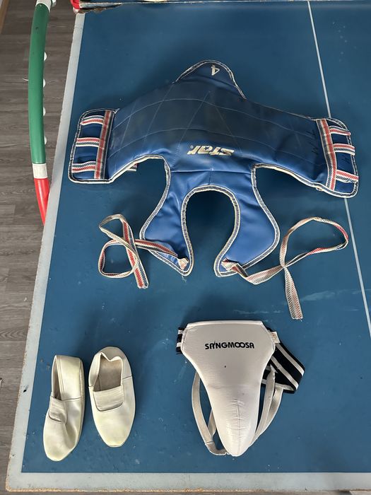 Экипировка для taekwando кимоно, защитка (щетки), пояса, перчатки