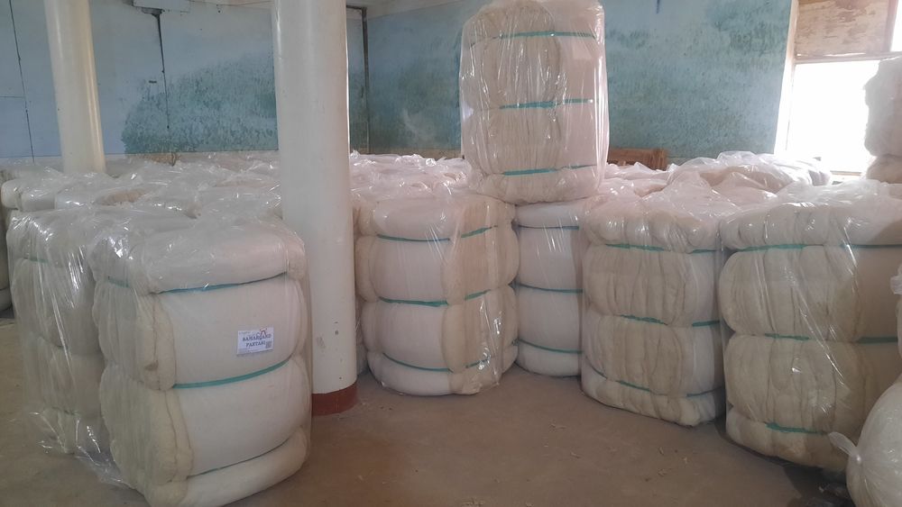 "SAMARQAND PAXTASI" dan yuqori sifatli toy paxta (пахта)