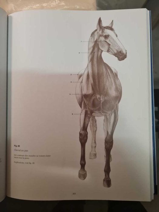 Carte rară – Anatomie Artistică Szunyoghy (2007)