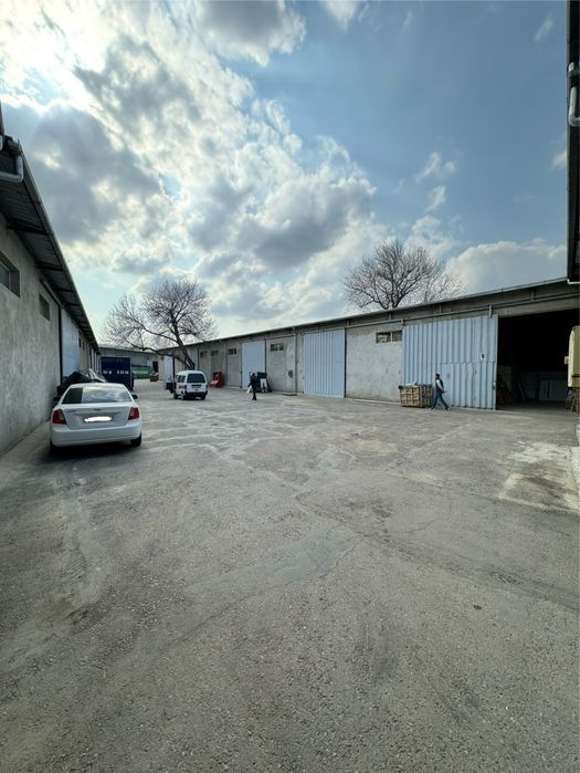 Тайёр бизнес арендаторлари билан бирга сотилади