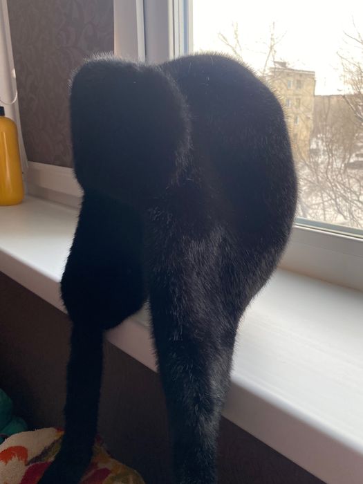 Чёрная ушанка под норку