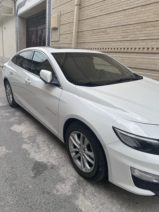 Malibu 2 / 2,4 mator / Primier qilingan