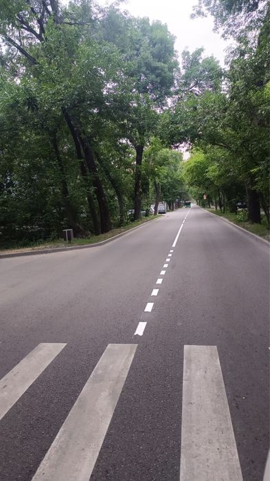 Дорожная разметка