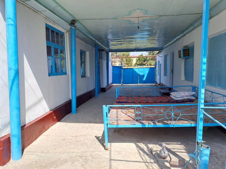 Turar Joy Kotta Xovli