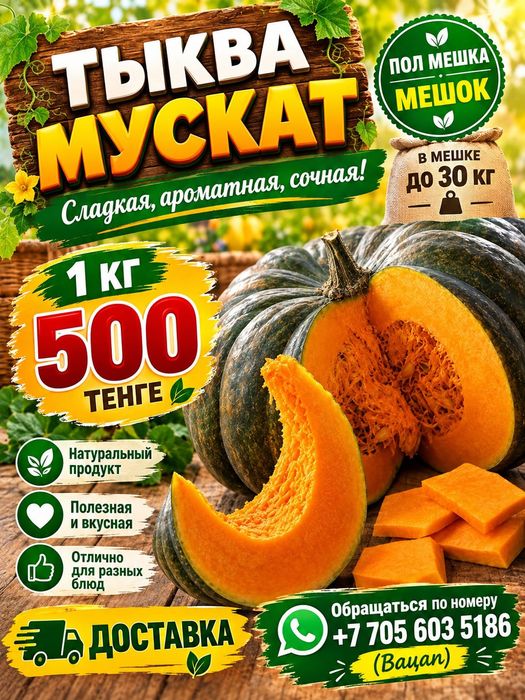 Тыква продам домашняя