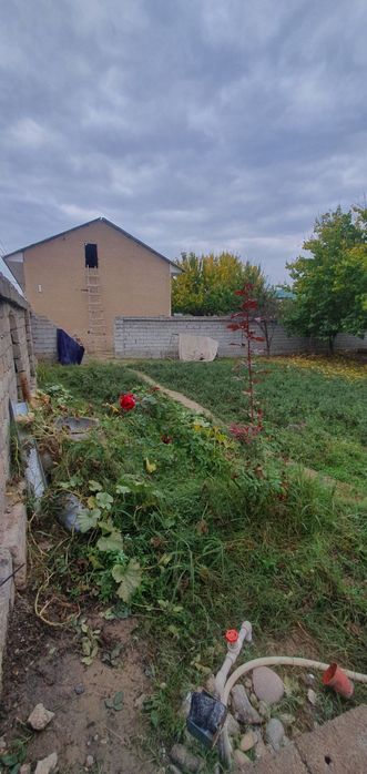 Срочна участка сотилади 10 сотх келишилади