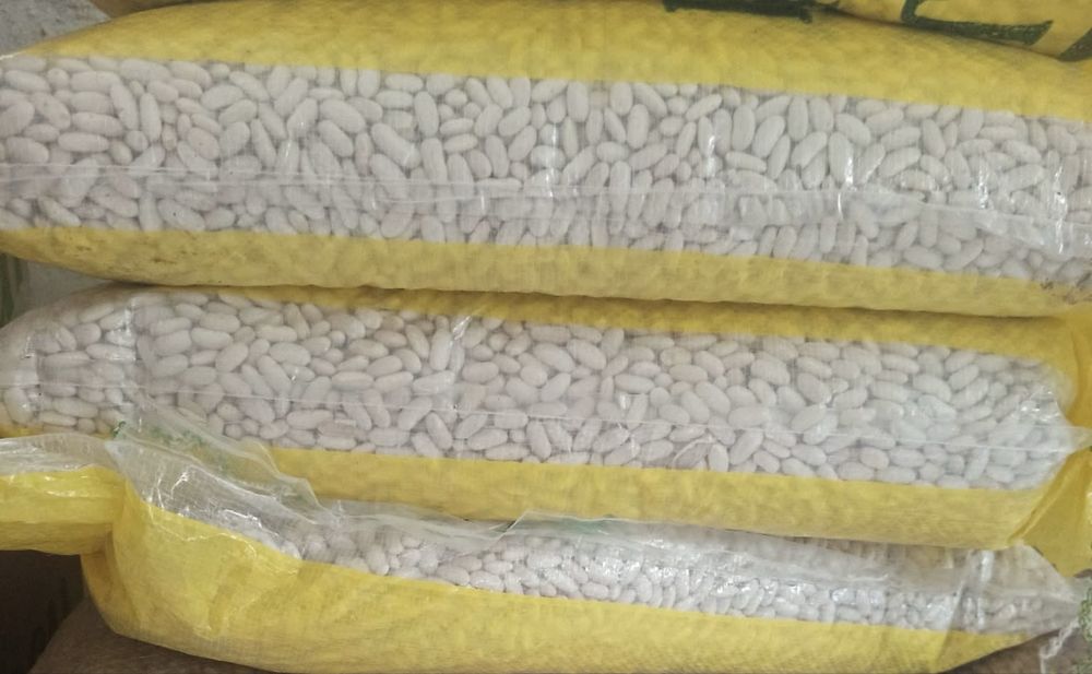 Боб Египет / 10 кг и 0.500кг/