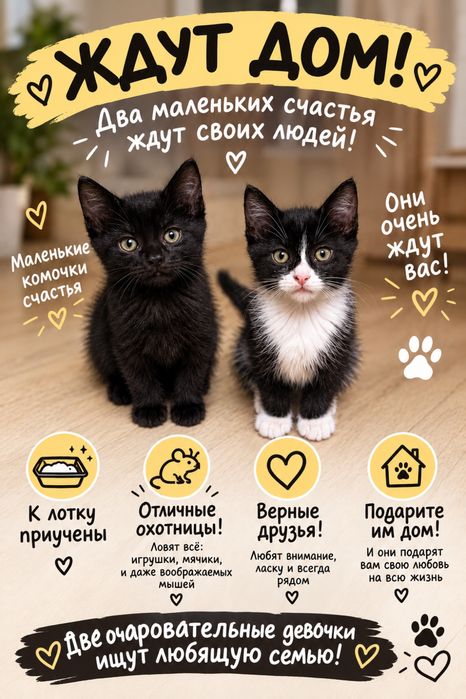 Бесплатно, отдам котят , к лотку приучены