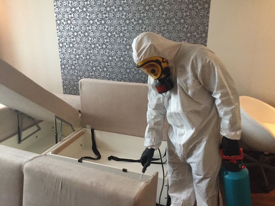 Дизинфекция Дезинфекция Tаракан Kлоп Dizenfeksiya Dezenfeksiya Klop