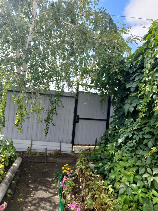 Продается дача общество Мотор