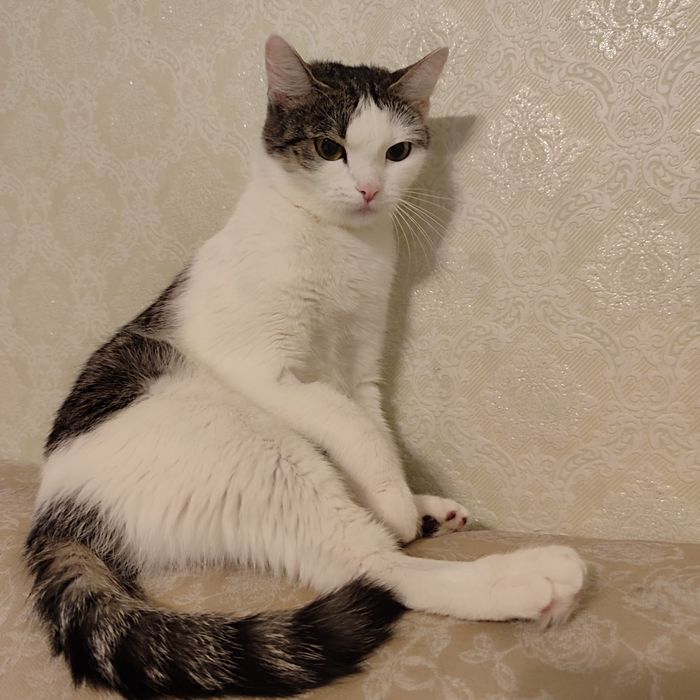 Очень независимая РАЙНА