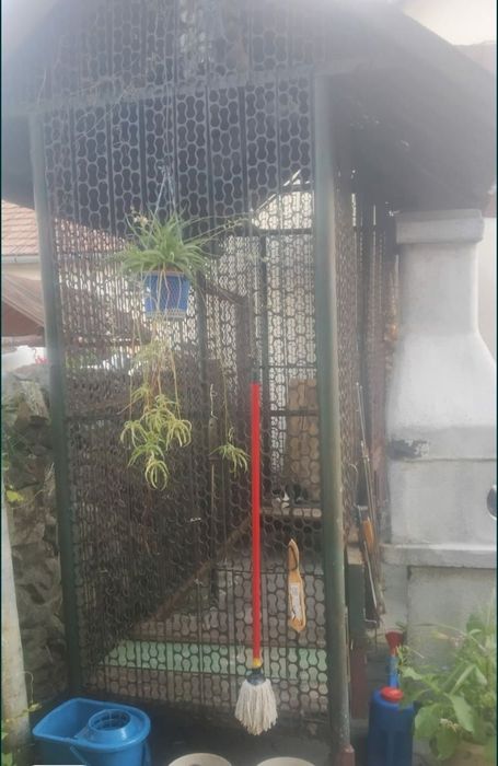 1. Vand cosar, metalic, pentru porumb.