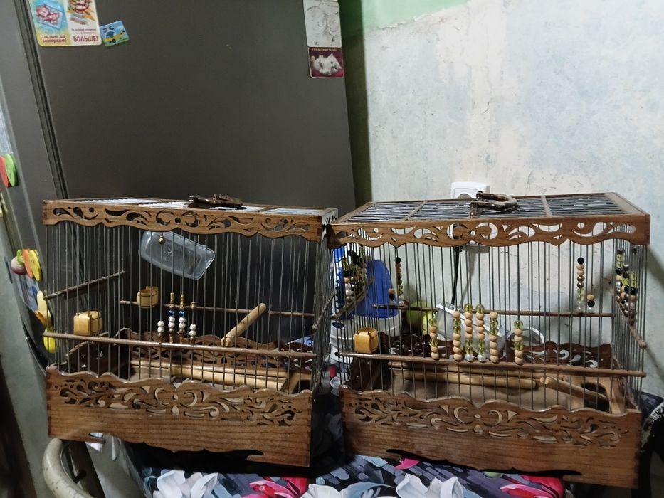 Клетки сделаны на заказ
