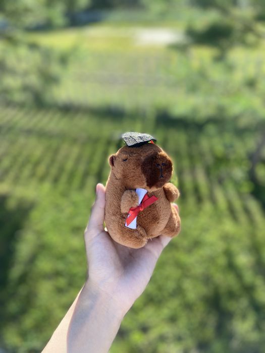 Брелок Капибара Студент