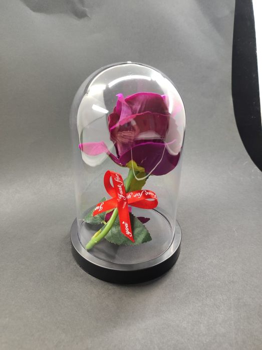 Trandafir de catifea in cupola de plastic
