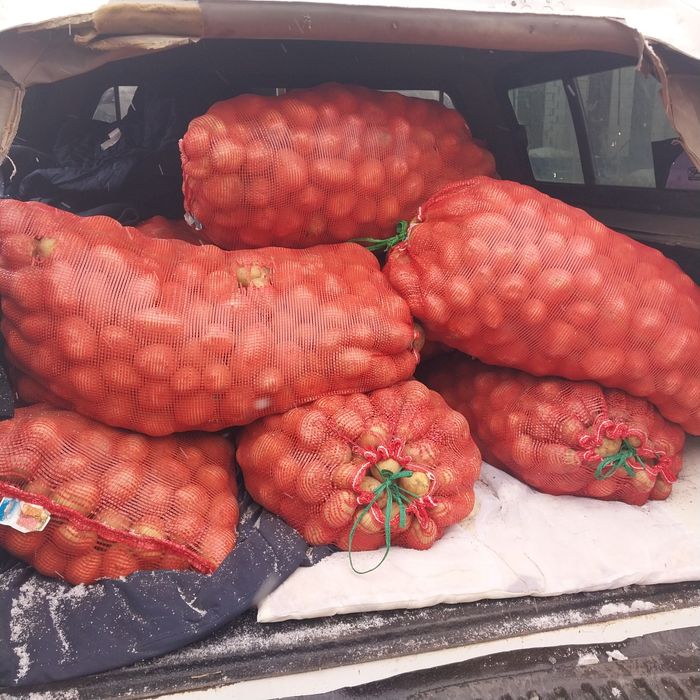 Продам домашний картофель