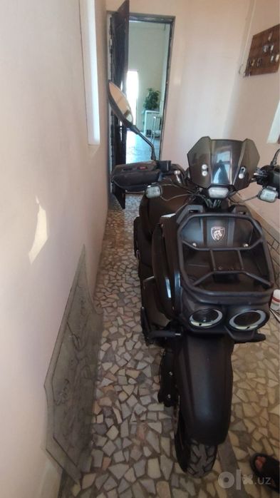 Madeli cavalo sotiladi tank