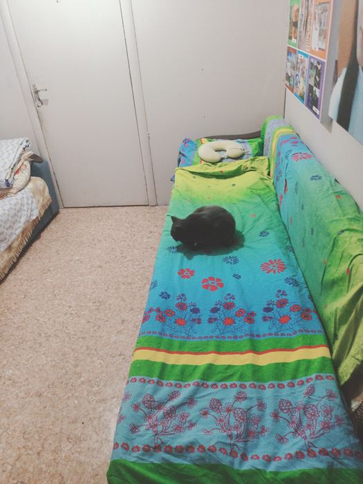 Возьму одного парня на подселение