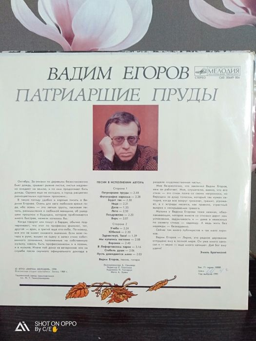 Виниловые пластинки известных исполнителей