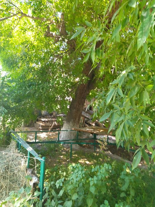 Продаю дом.в старом городе