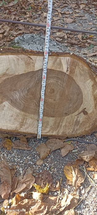 Орехов материал  .