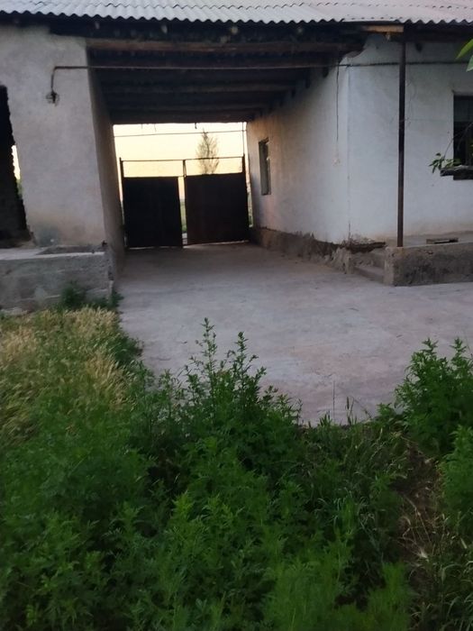 Ijarachi qoyamz 3xonali uy