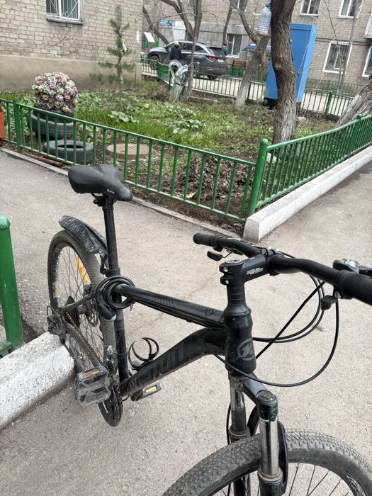 Велик   Kston…..