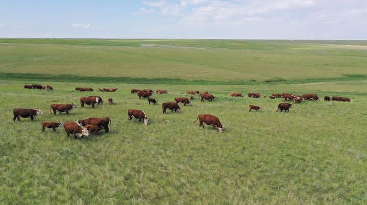 Продам КХ. По частям не продаю