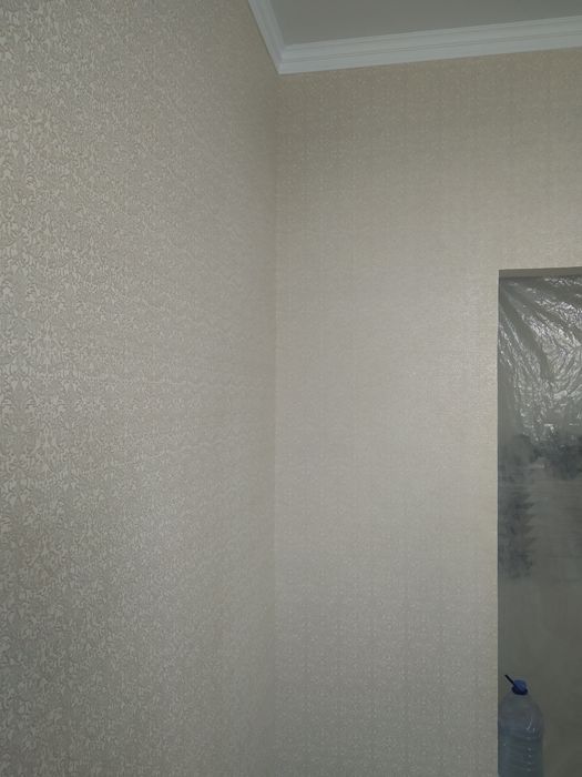 Косметический ремонт квартир.Женщины-маляры.