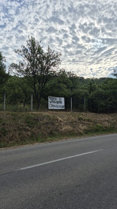 Teren de vânzare 25 arii