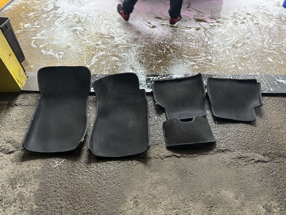 Ева полики Cobalt