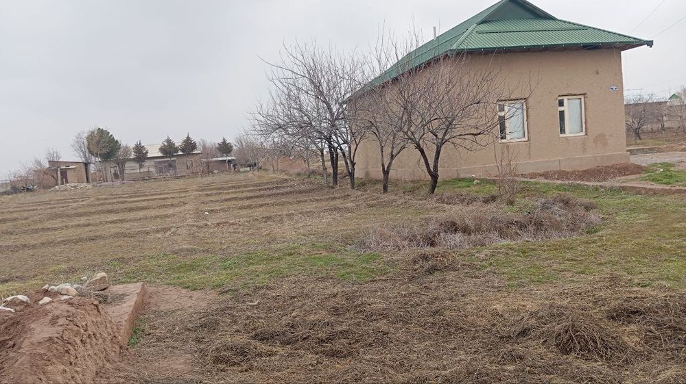 Yer uchastka 15 sotix bor sotixi 10 miliondan kelishiladi