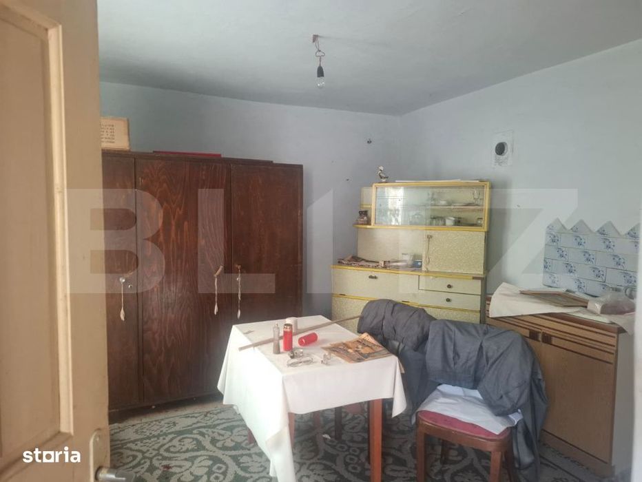 Proprietate cu 2 case, 2.100 mp teren si multiple anexe