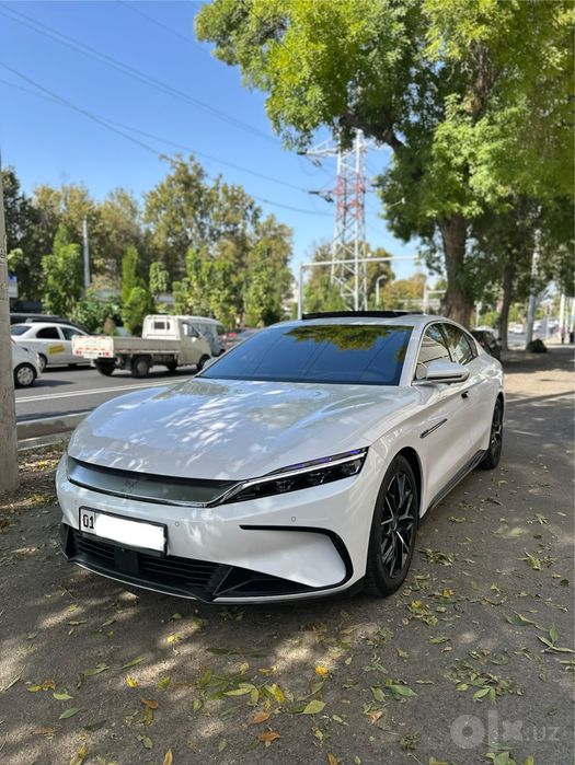 Byd Han Dual motor 2022-yill