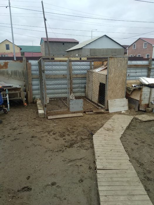 Вальер для собаки 3*2 не доделанный