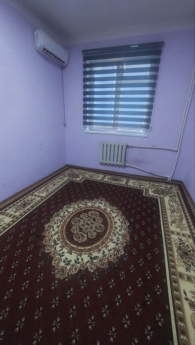 Тезда 11 паленика ижарага берилади