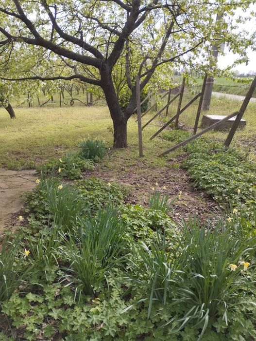 Продава се Къща в Русе, в.з. Русофили - 20 кв.м за 1725 €/кв.м - Снимка #4