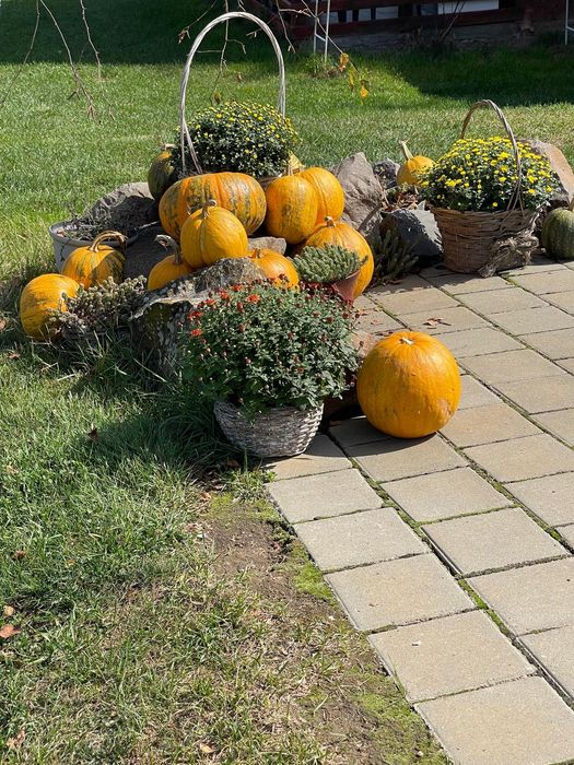 Vand bostani  pt  Helloween