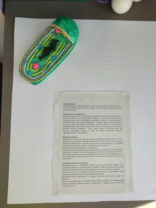 Проект за Левски