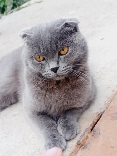 BBWlarning qisqa porno videolari