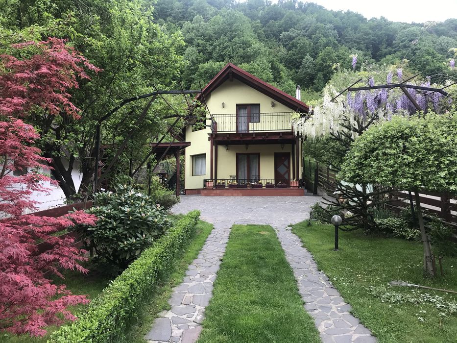 Casa de vanzare