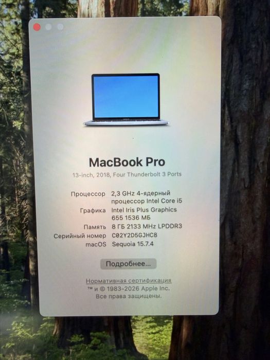 Macbook Pro 2018/8/256