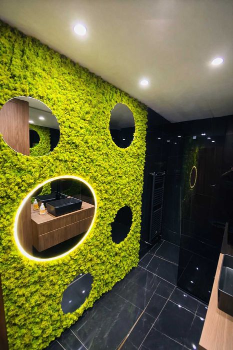 Perete decorativ din licheni | baie