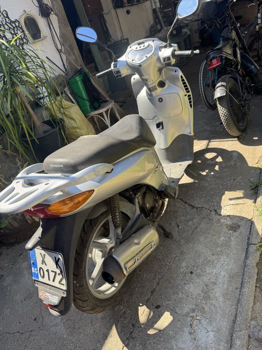 Honda Sh 150 кубика