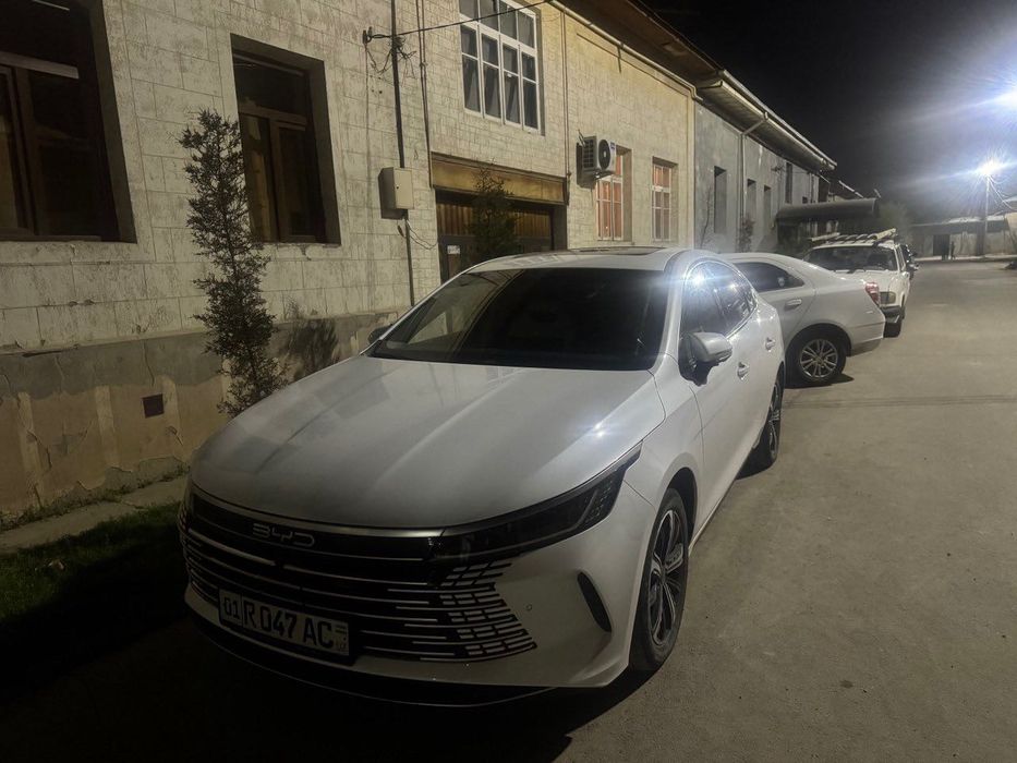 BYD  Chazor ……….