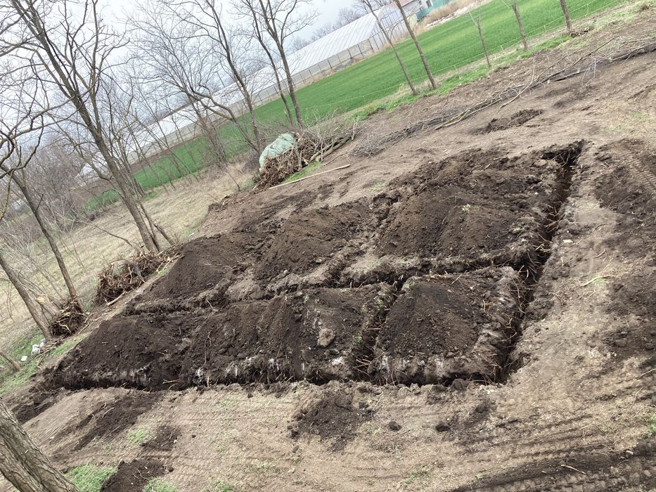 Servicii inchiriere miniexcavator sapaturi sant fundatii fose beci apa